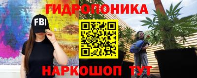 стафф Гусев