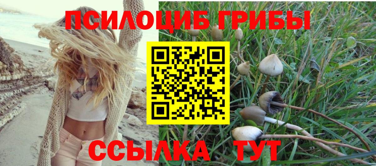 Галлюциногенные грибы Cubensis  купить наркотик  Волоколамск  Вход с VPN  Псилоцибиновые грибы прущие грибы 
