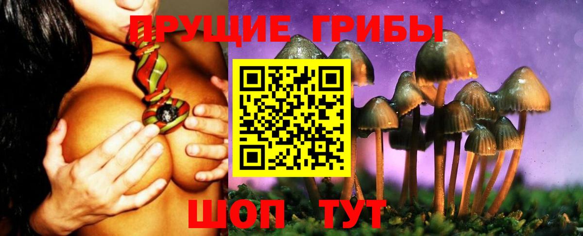 Галлюциногенные грибы MAGIC MUSHROOMS Волоколамск